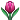 1f337