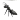 1f41c