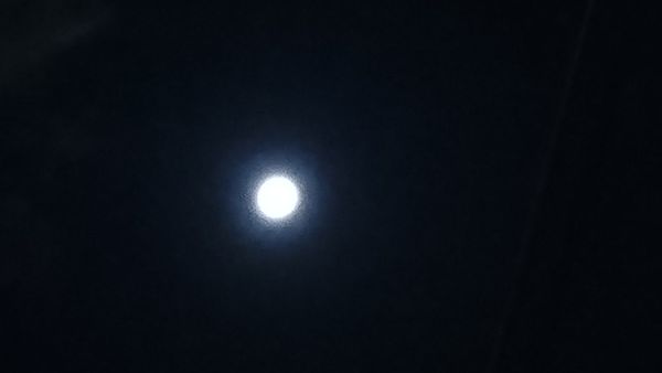 しょうこ