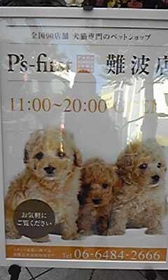 まみや