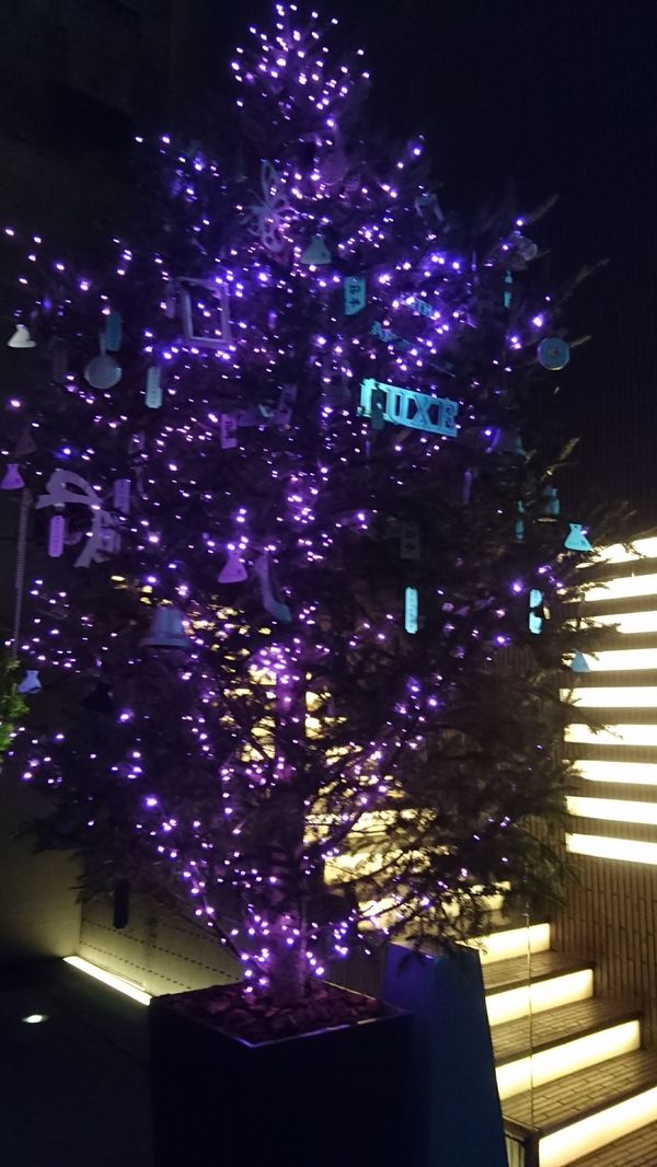 しょうこ