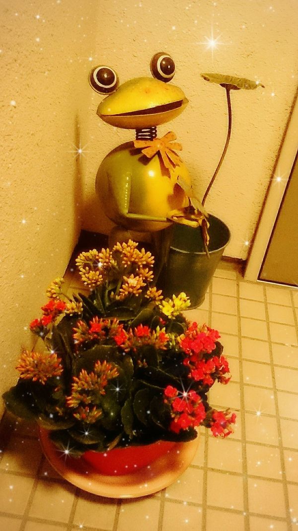 あんず