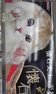 まみや