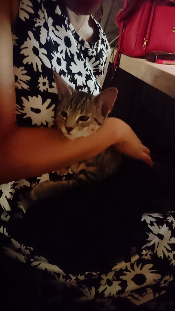 しょうこ