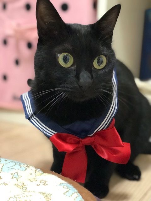 あんず