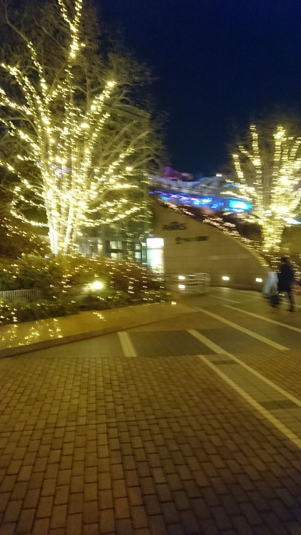 しょうこ