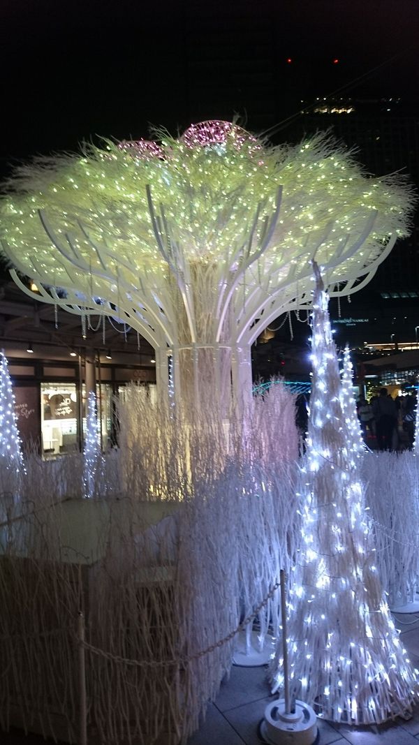 しょうこ