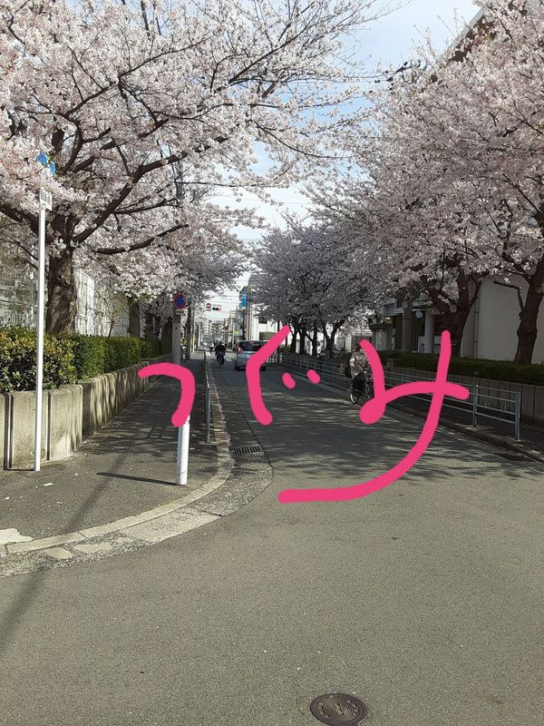 つぐみ