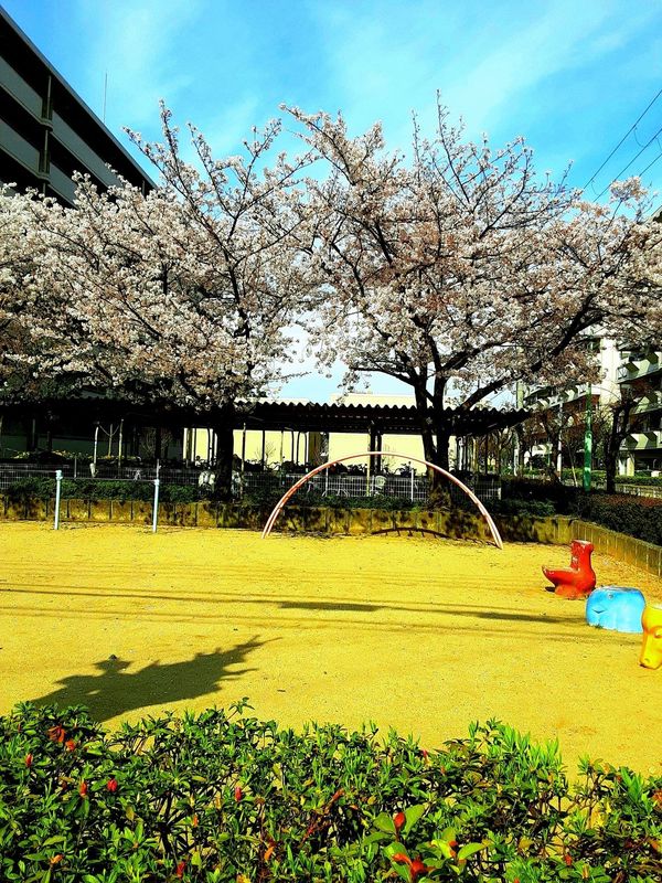 つぐみ