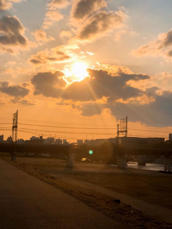 あんず