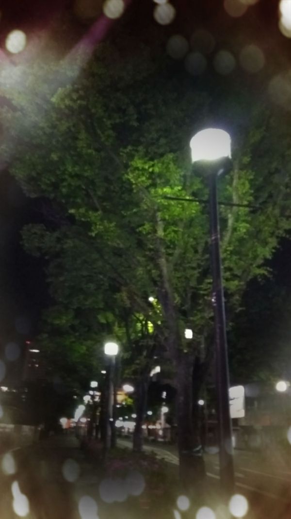 ひな