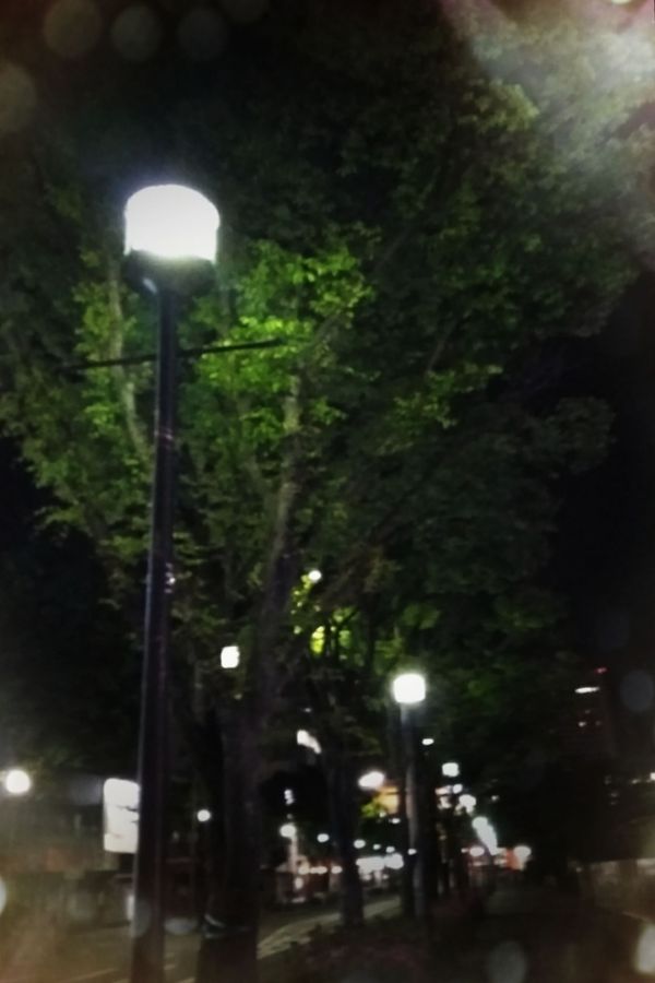 ひな