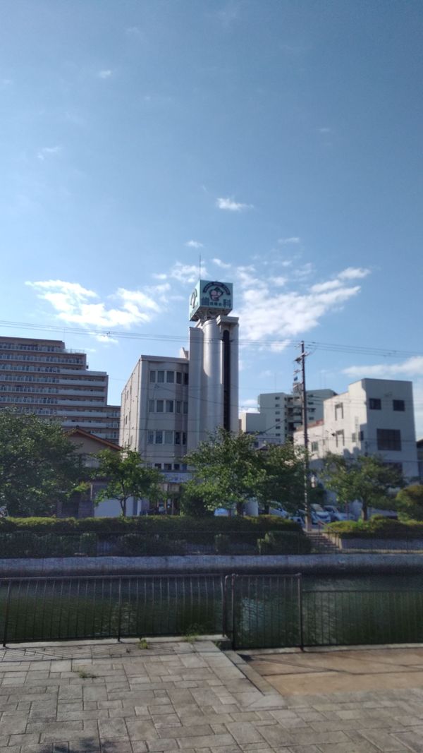 ひな