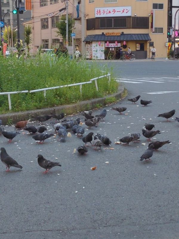 まみや