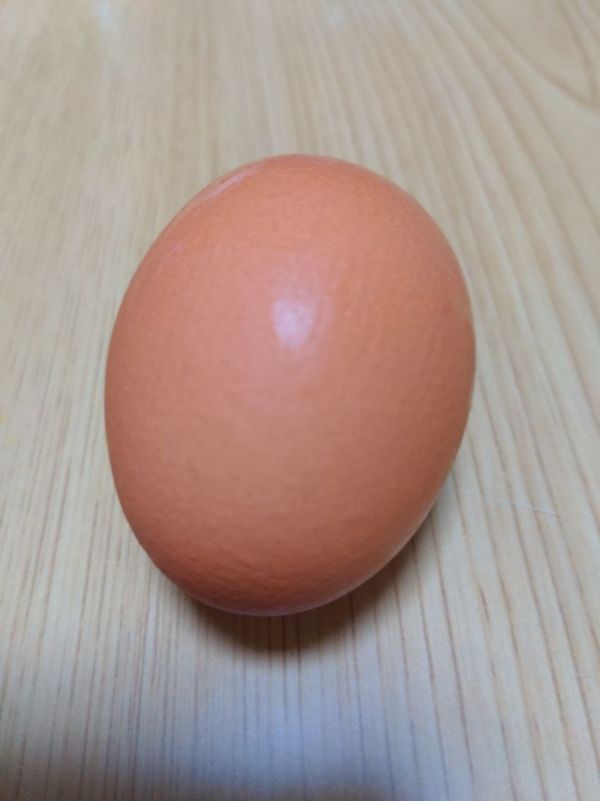 まみや