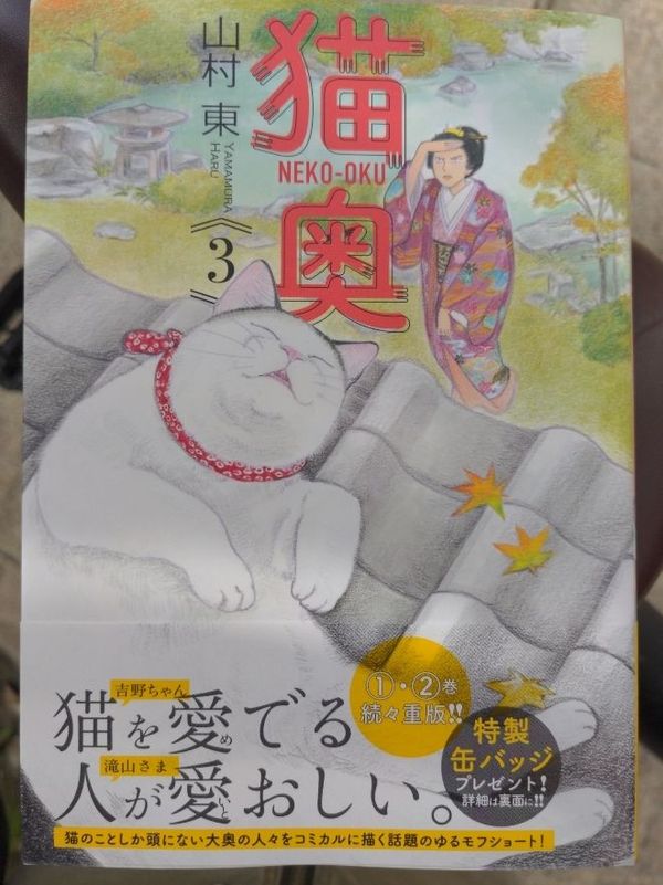 まみや