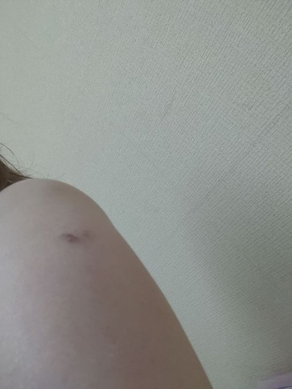 まみや
