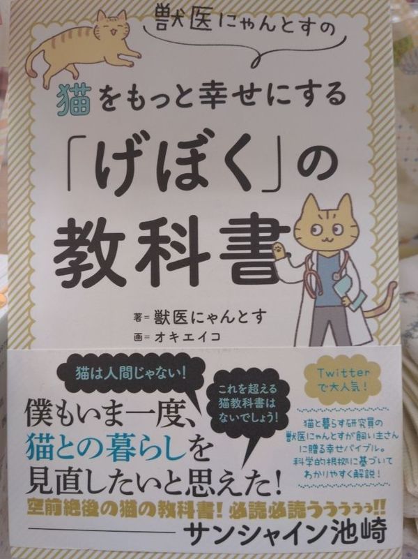まみや