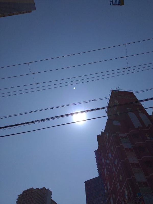 まみや