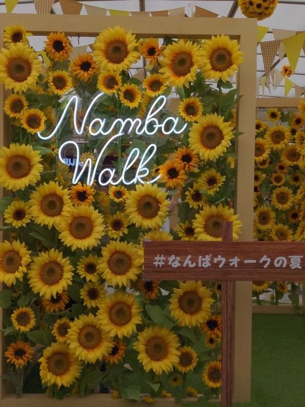 まみや