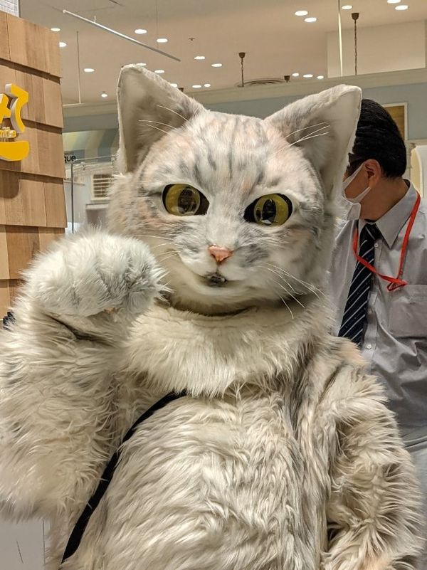 まみや