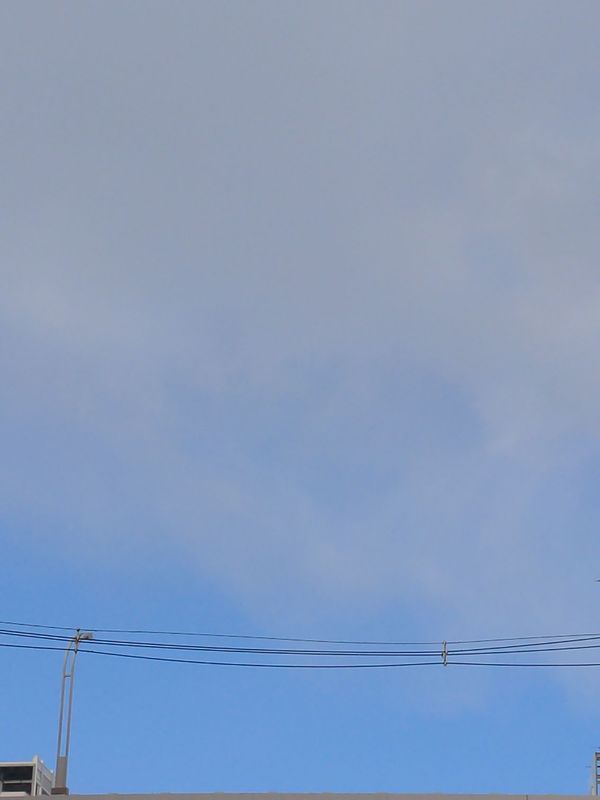 まみや
