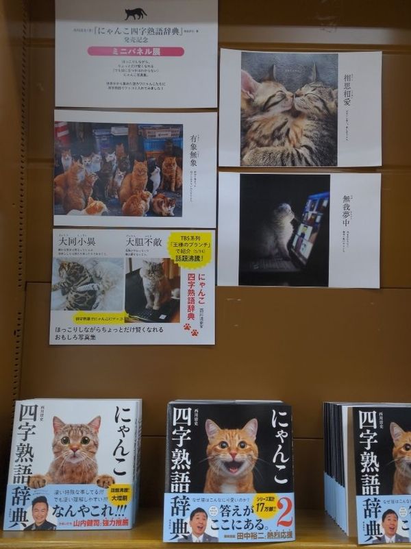 まみや