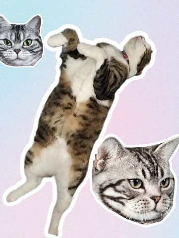ゆい