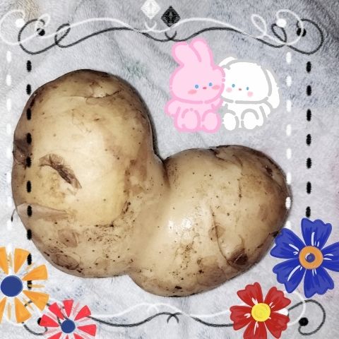 ゆい