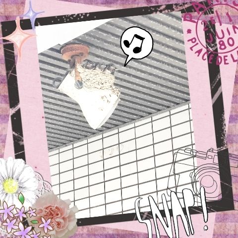 ゆい