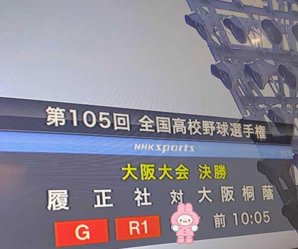 ひな