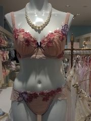 まみや