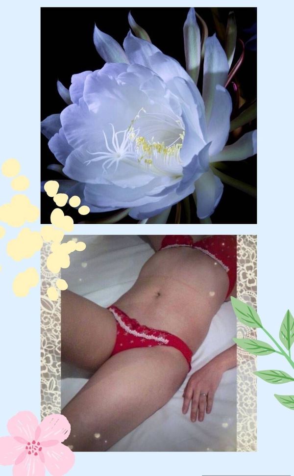 ひな