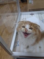 まみや
