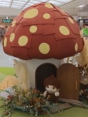 まみや