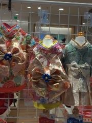 まみや