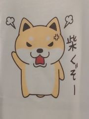 まみや