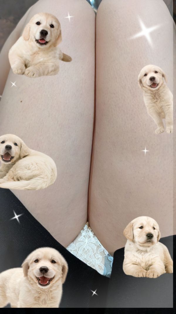 ゆい