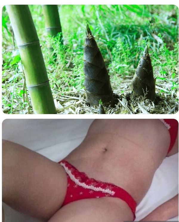 ひな