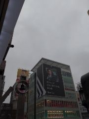 まみや