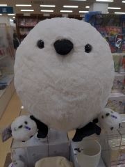 まみや