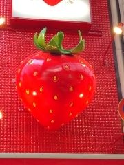 まみや