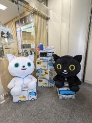 まみや
