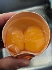 まみや