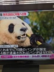まみや
