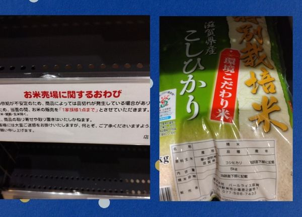 ひな