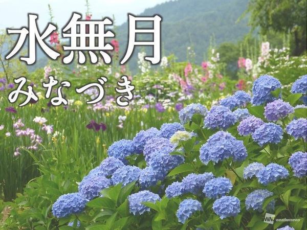 ひな
