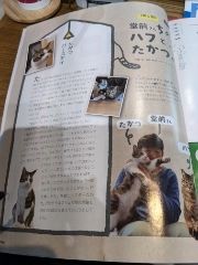 まみや