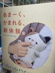 まみや