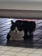 まみや